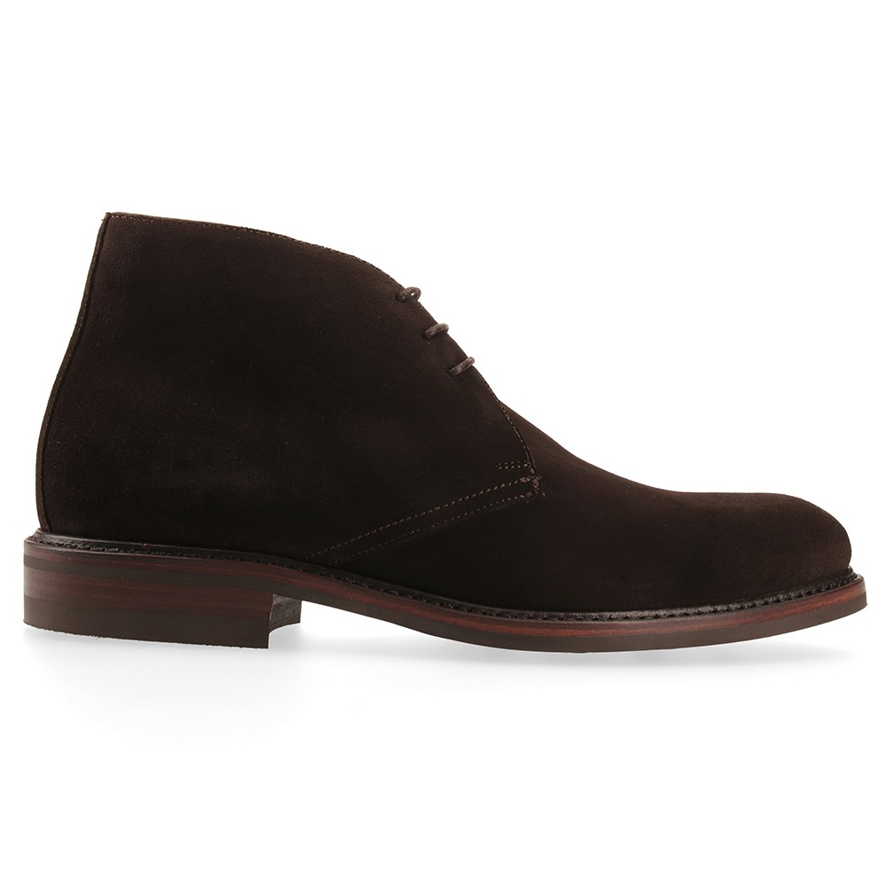 Berwick 1707 320-K4 SUPERBUCK CAFÉ Precio de fábrica