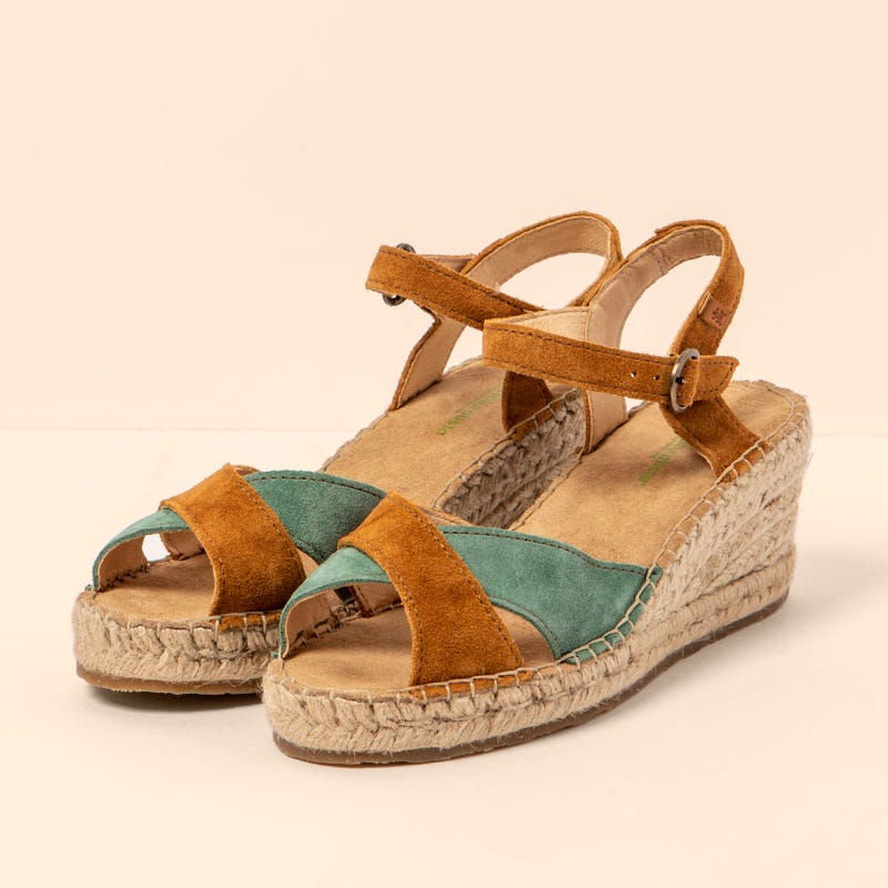 El naturalista 5261 ALMAZARA Gran oferta