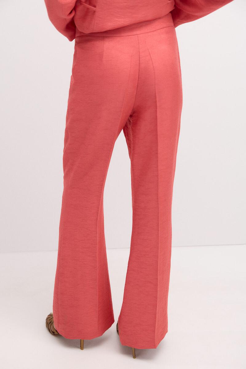 Hoss intropia Patricia. Pantalón de traje satinado | Pantalones de mujer | Hoss Intropia Última moda