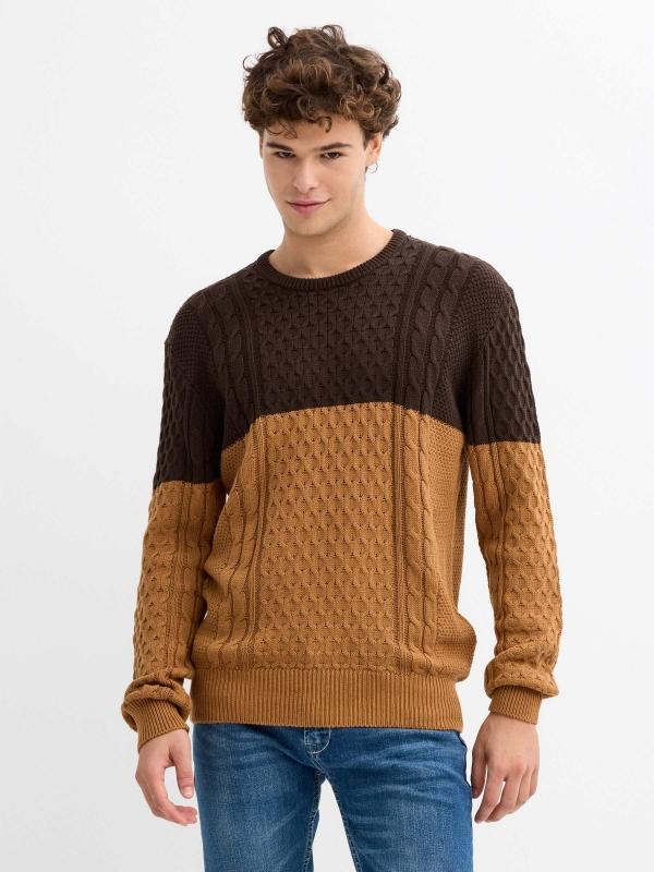 In side Jersey ochos bicolor