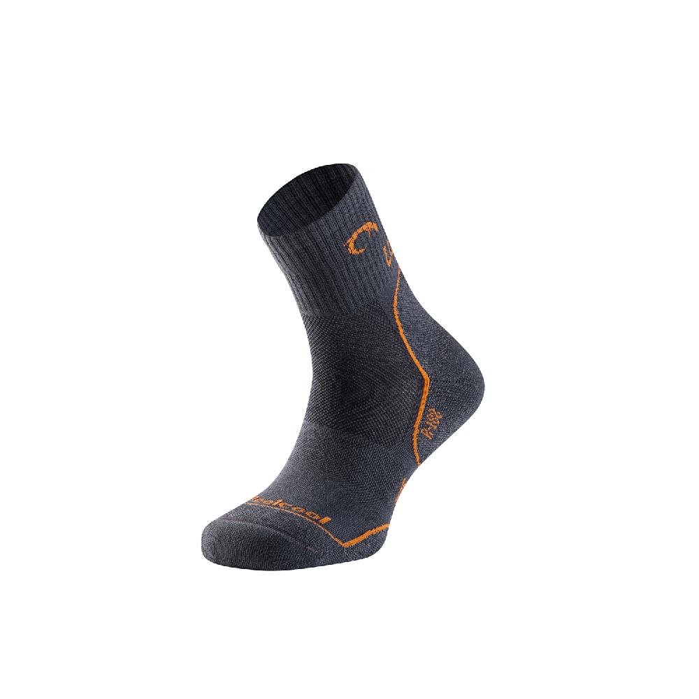 lurbel Camino four