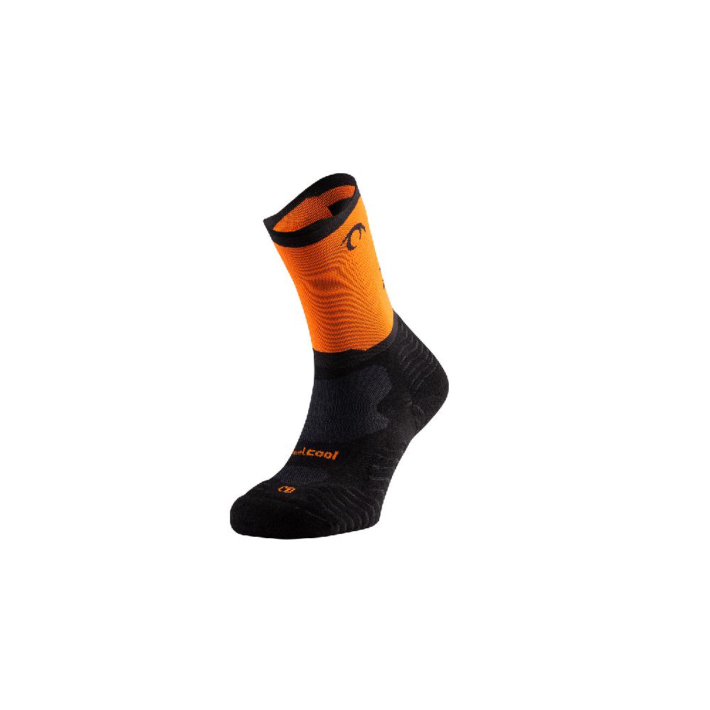 lurbel Rise five 2025