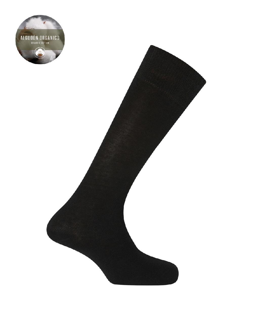 punto blanco Calcetines de algodón orgánico - lisos