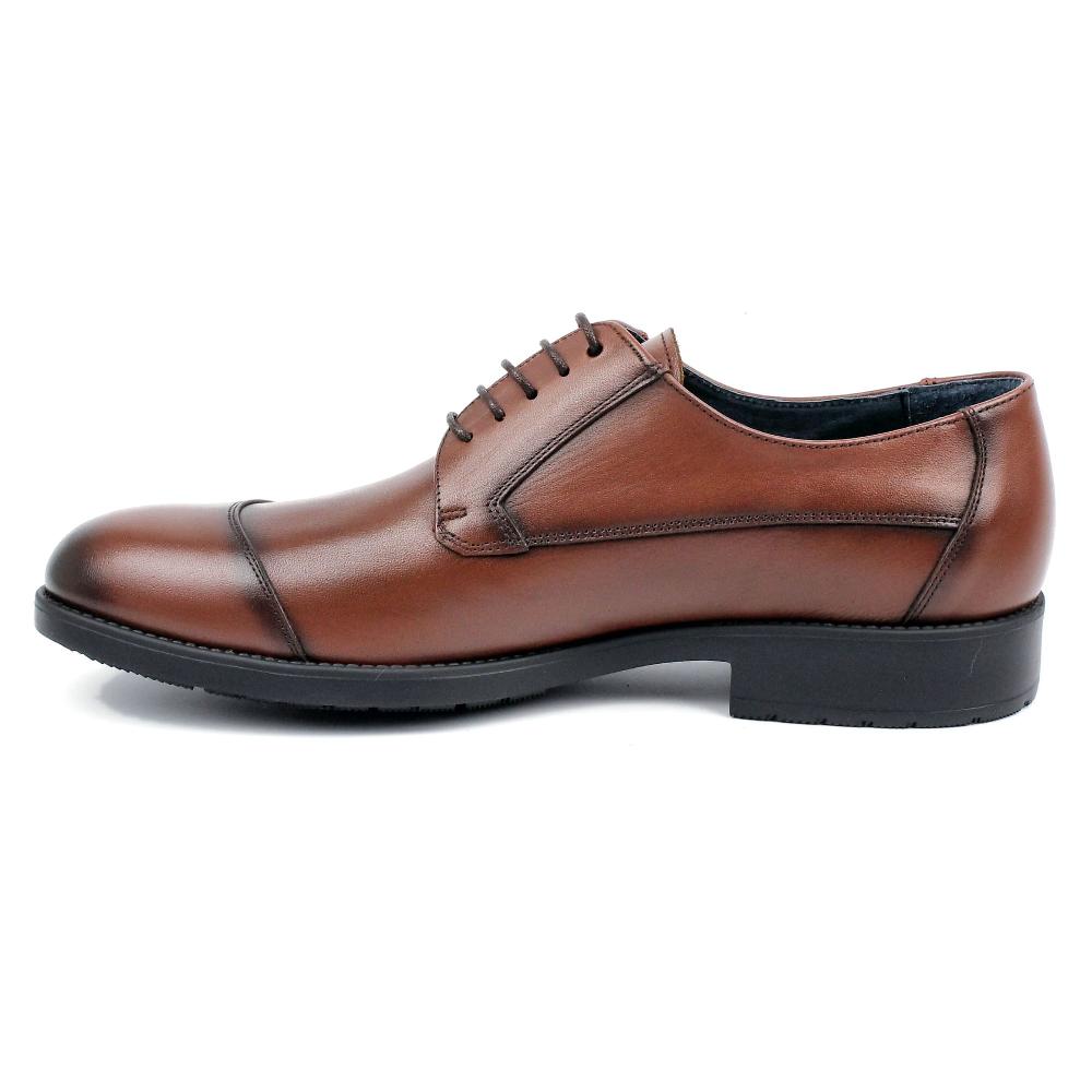 segarra Halley brandy Ofertas