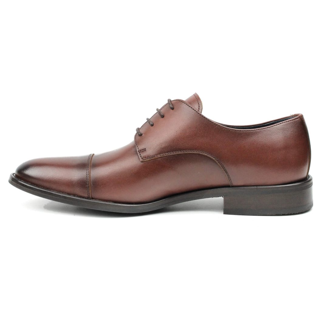 segarra Martin Brandy Ofertas