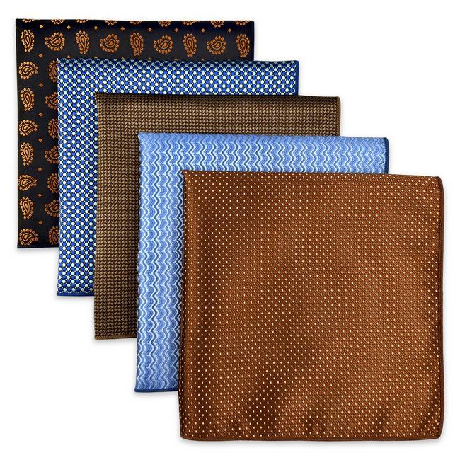 shlax & wing 5 Pieces Assorted Mens Pocket Square Fashion Gift Classic Handkerchiefs Set 2-91 Oferta exclusiva